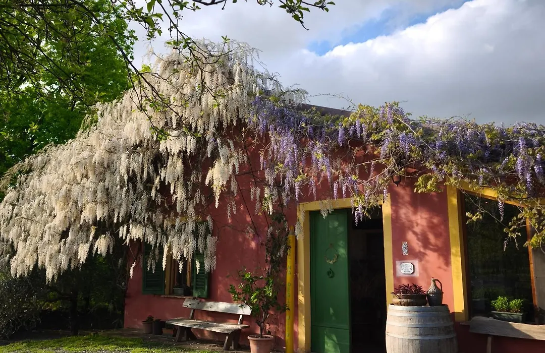 Agriturismo Cascina degli Ulivi-1