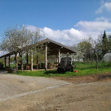 Agriturismo Cascina degli Ulivi-2