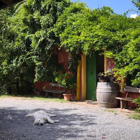 Agriturismo Cascina degli Ulivi-3